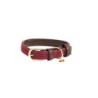 Geflochtenes Nylon-Halsband für Hunde Kentucky