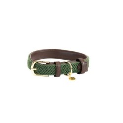 Geflochtenes Nylon-Halsband für Hunde Kentucky