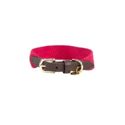 Hundehalsband Kentucky Jacquard