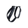 Aktives Hundegeschirr Kentucky Velvet