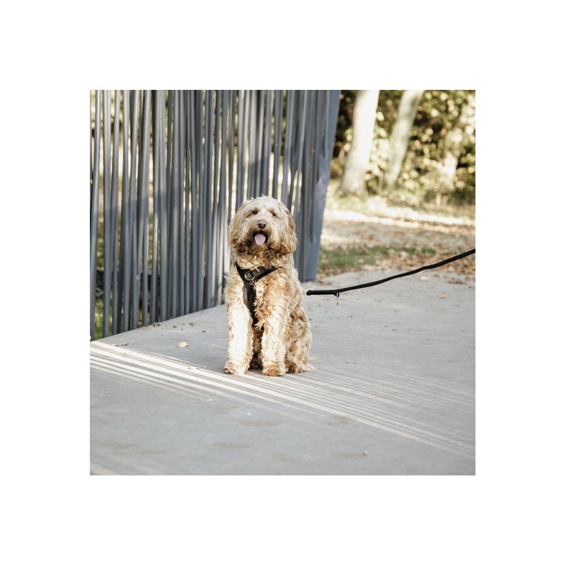 Aktives Hundegeschirr Kentucky Velvet