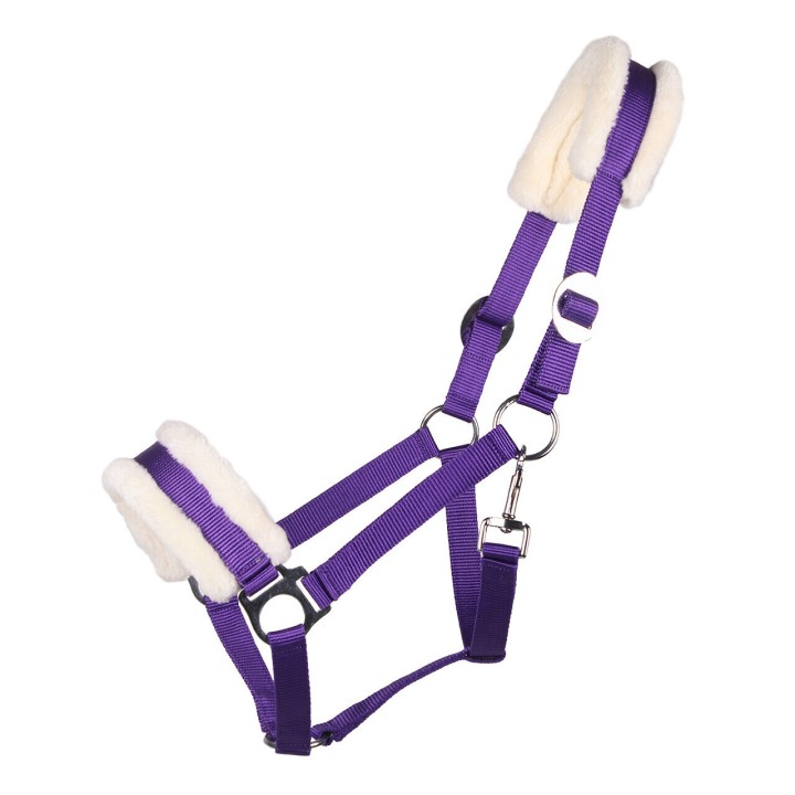 Halfter für Pferd Q-essentials Cali