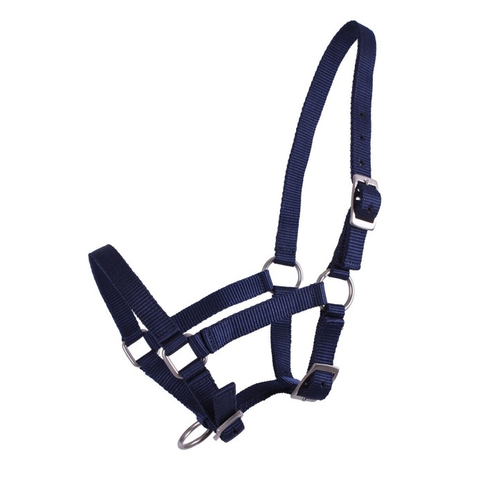 Halfter für Fohlen Q-essentials