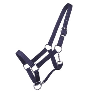 Halfter für Fohlen Q-essentials Yearling