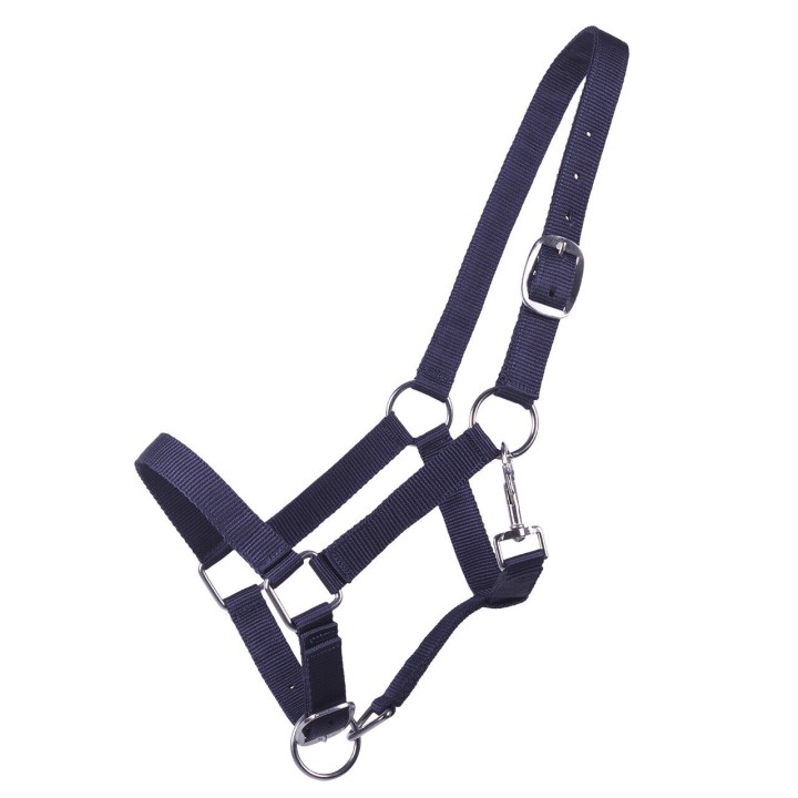 Halfter für Fohlen Q-essentials Yearling