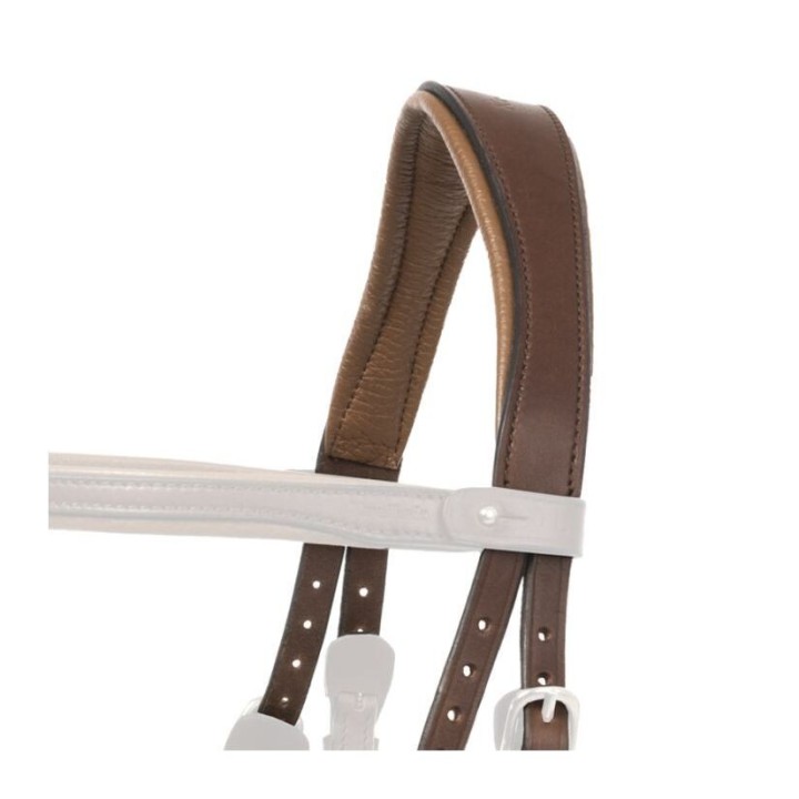 Kopfstück für Islandpferde-Trense Kavalkade Aradis