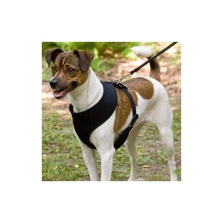 "Mesh Original" Leichtgeschirr, Farbe schwarz