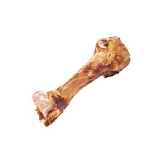 Schecker - Dino-Knochen [1 Stück]