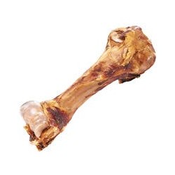 Schecker - Dino-Knochen [1 Stück]