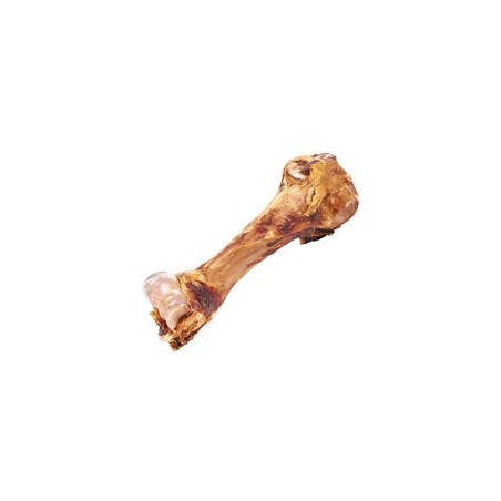 Schecker - Dino-Knochen [1 Stück]