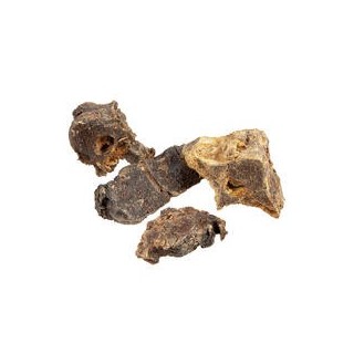 Schecker - Reh-Rückenknochen