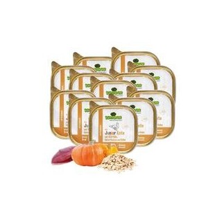 Schecker - Schecker Hundemenü - Junior Ente mit Kürbis, Haferflocken und Vollei [12 x 200g]