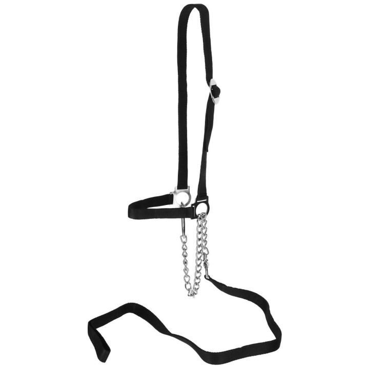 Blinkerverlängerung Brazoline M8/M8