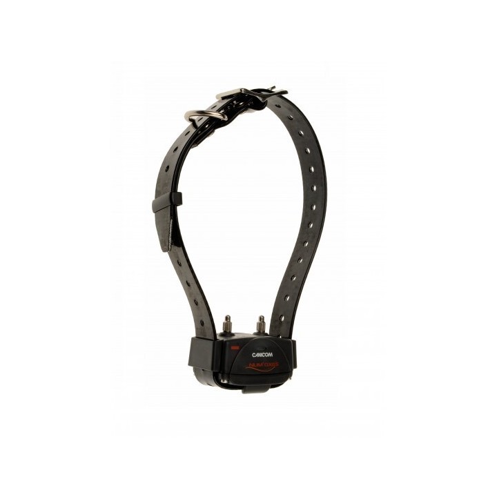 2 Dressurhalsbänder + Fernbedienung + Hartschalenkoffer Num'axes Canicom 800