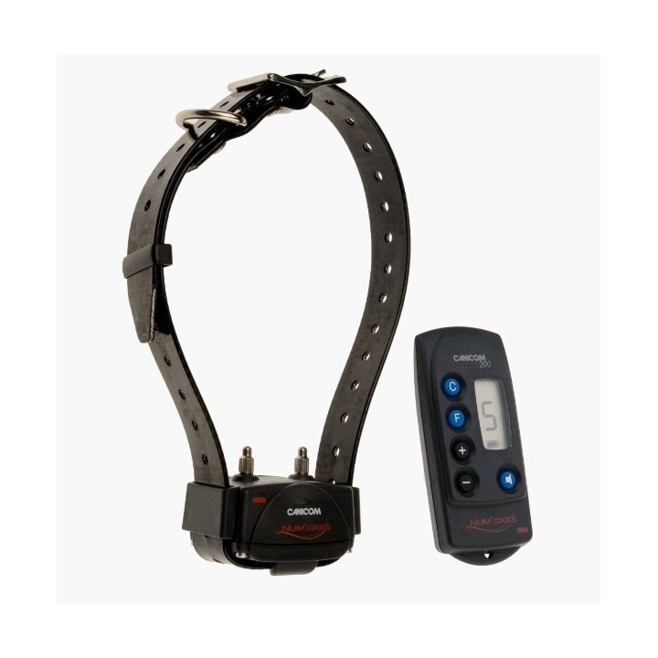 Dressurhalsband für Hunde Num'axes Canicom 200