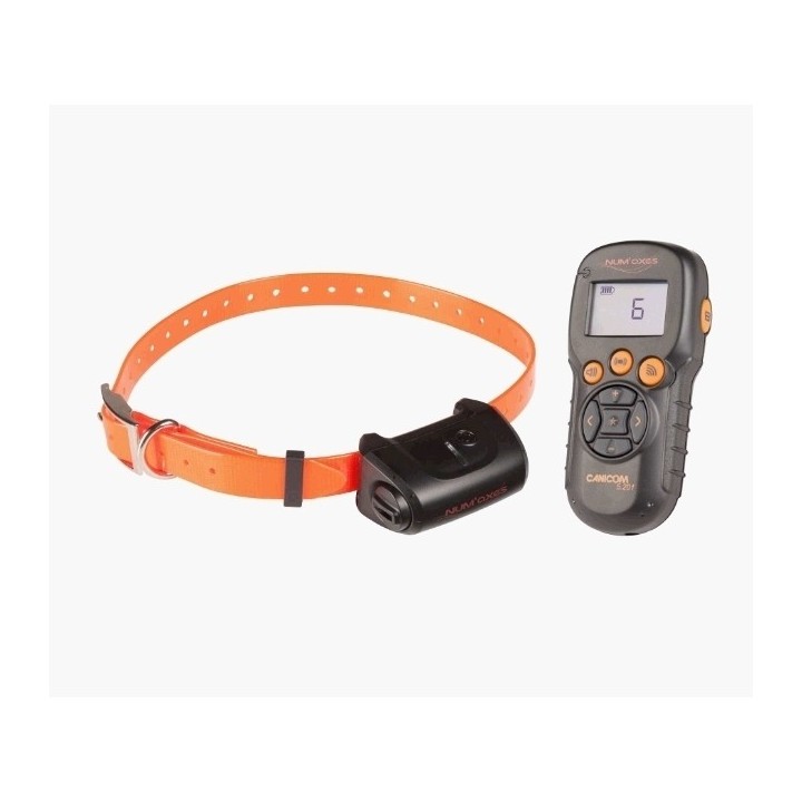 Dressurhalsband für Hunde Num'axes Canicom 5.201