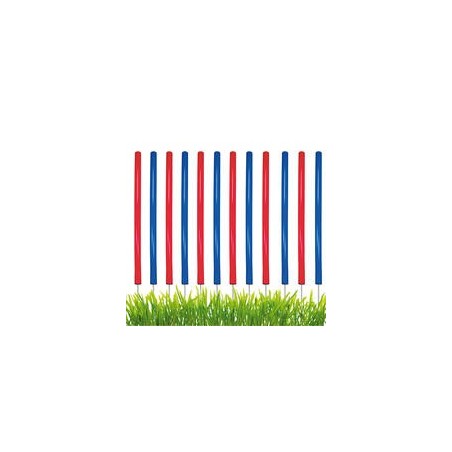 Procyon Agility - Slalom