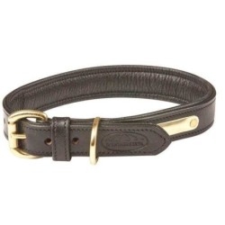 Gepolstertes Hundehalsband aus Leder Weatherbeeta