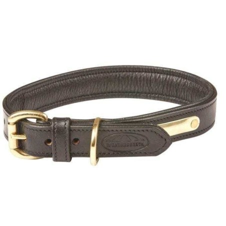 Gepolstertes Hundehalsband aus Leder Weatherbeeta