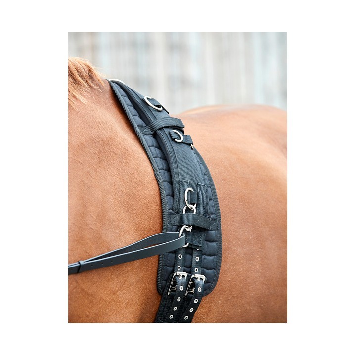 Longiermatte für Pferde HorseGuard Kali