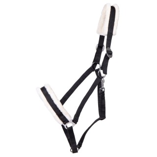 Halfter für Zugpferd Q-essentials Cali