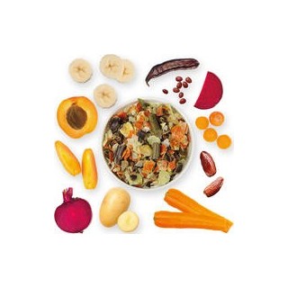 Schecker - Veggie-Mix mit Gemüse + Früchten [2kg]