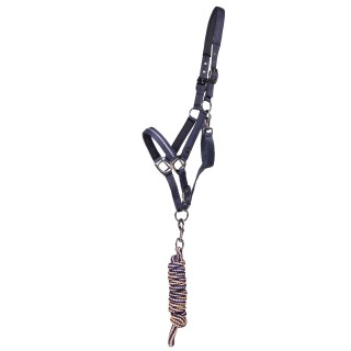 Halfter und Longe für Pferde QHP Summer