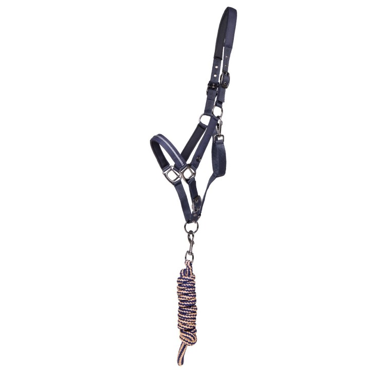 Halfter und Longe für Pferde QHP Summer