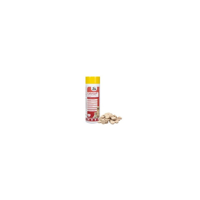 Cafortan -Tabletten [600 Tabletten]