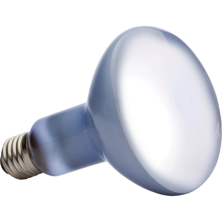 Exo Terra Daylight Basking Spot - R25/100 W