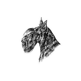 Esser-Warnschild "Herr im Haus bin ich!"