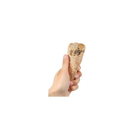 Kauwurzeln - das Dauer-Kauspielzeug [XS, 60-125 g]