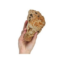 Kauwurzeln - das Dauer-Kauspielzeug [L, 450-700 g]