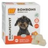 BIOFOOD® Schaffett-Bonbons mit Lachs [plus Lachsöl]
