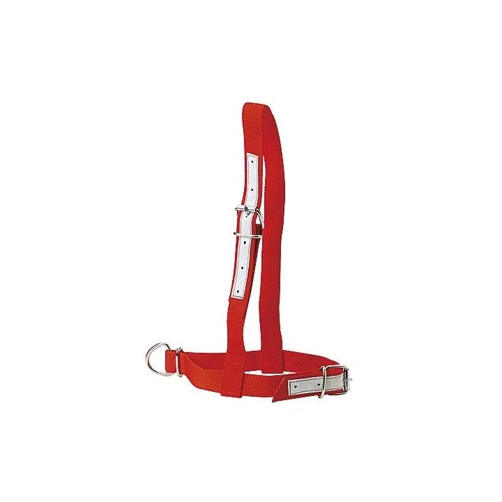 Nylonhalfter für Kühe Kamer