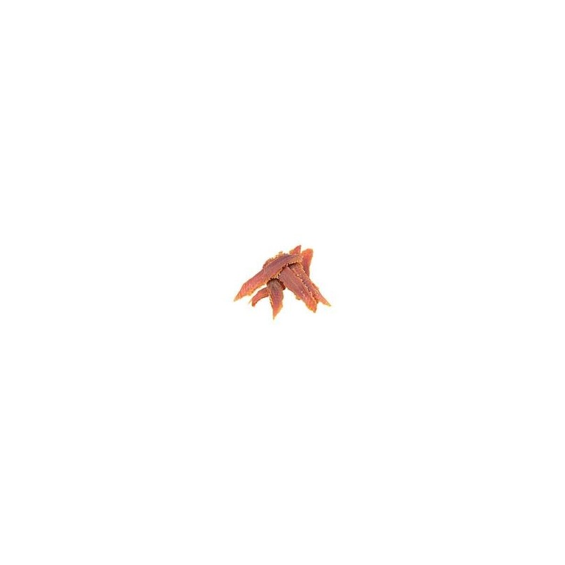 Schecker - Entenbrustfilets [100g]