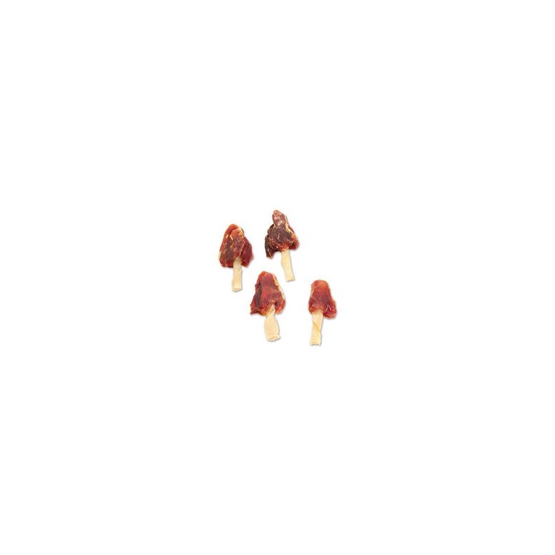 Schecker - Hundesnack Entenbrust Flags [100g]