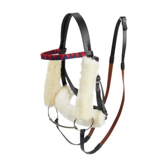Zaumzeug für LeMieux Hobby Horse
