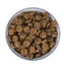 Schecker - ICELAND Dorschsnack mit Hering [500g]