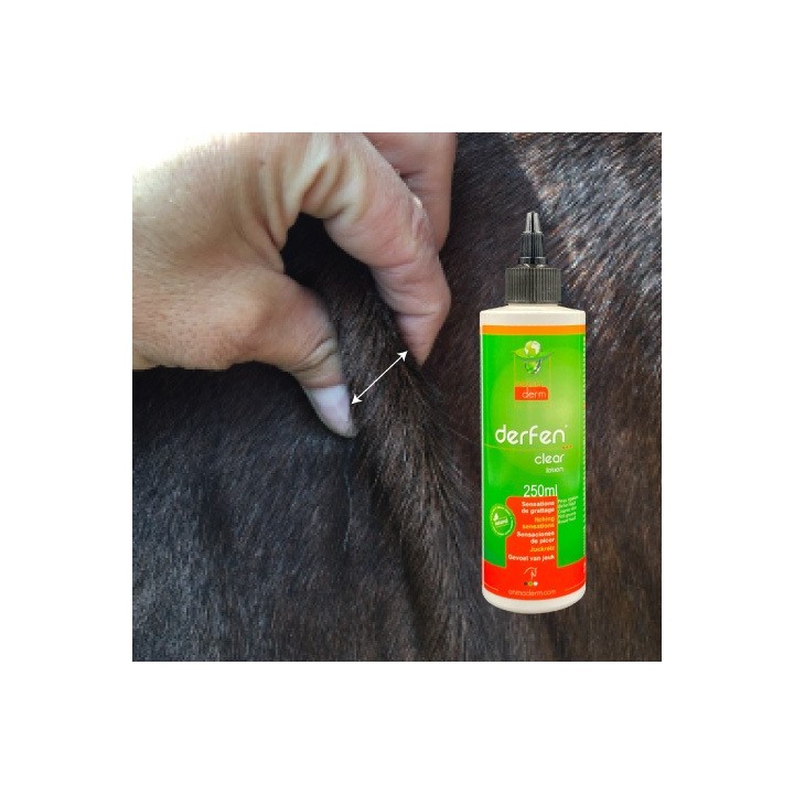 Lotion für Pferde Animaderm Derfen Clear