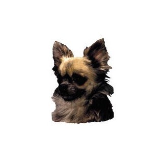 Kleine Aufkleber 4er Packung