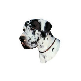 Kleine Aufkleber 4er Packung