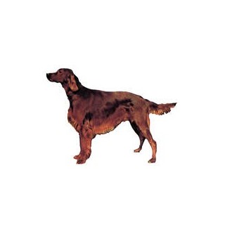 Kleine Aufkleber 4er Packung