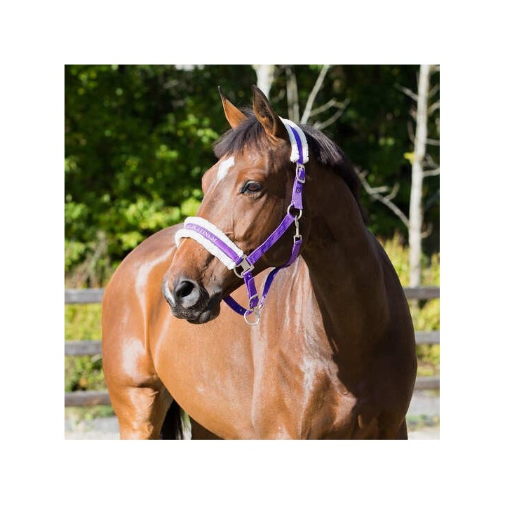 Halfter Horze Howard