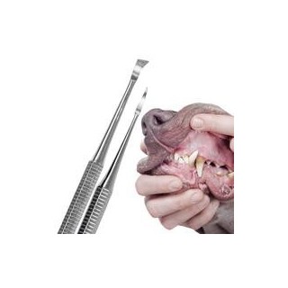 Schecker - Zahnstein-Entferner-Set, 2-teilig