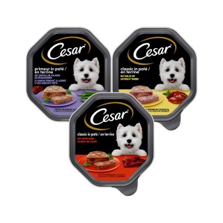 Cesar Classic in Pastete - Multipack - 24 x 150 g