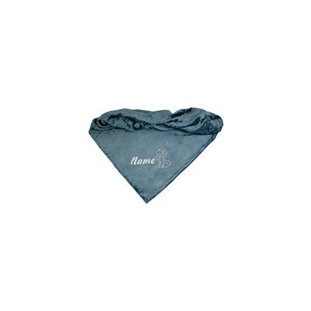 Schecker - Bestickte Mikrofaserdecke Premium [Marineblau - Hund mit Name]
