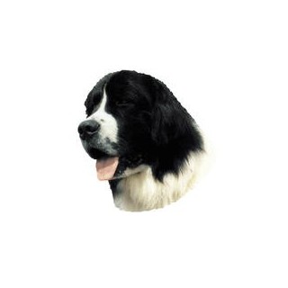 Kleine Aufkleber 4er Packung