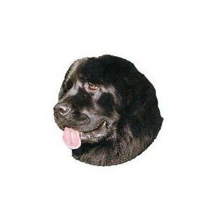 Kleine Aufkleber 4er Packung