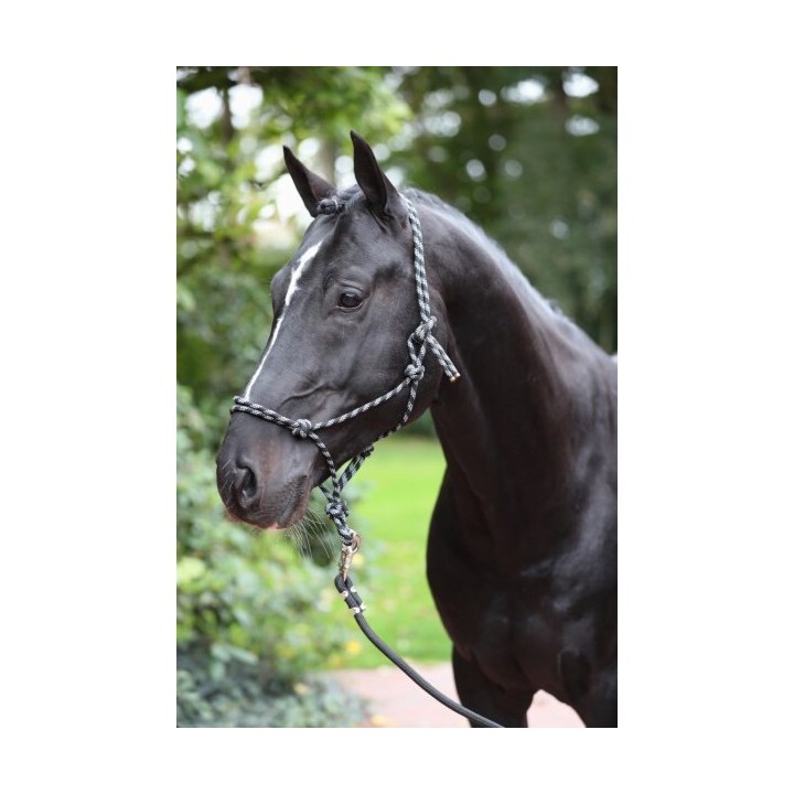 Ethologisches Halfter cob Kerbl